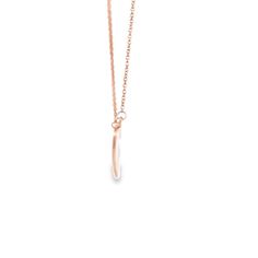 Elevate your style with our exquisite Rosé Gold 14K Broken Heart Necklace. This stunning piece features a delicate broken heart design, measuring 15 x 17mm, perfectly crafted in 14K rosé gold. - Metal: 14K Rosé Gold Necklace- Length: 18 inches- Pendant Dimensions: 15 x 17mm Perfectly crafted for ladies, this broken heart necklace symbolizes timeless elegance and sophistication. The delicate design and rosé gold finish make it a standout piece in any jewelry collection. Rosé Gold, Delicate Design, Rose Gold Necklace, Necklace Length, Beautiful Roses, Heart Design, Heart Necklace, Gold Finish, Timeless Elegance