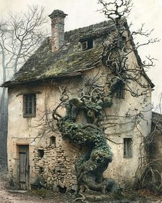 an old house with vines growing on it