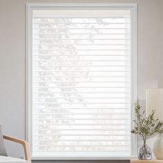 a living room with white blinds in the window