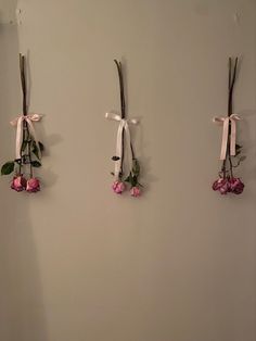 three flowers are hanging on the wall with ribbons