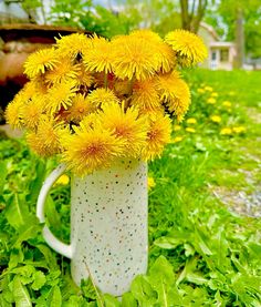 some yellow flowers are in a white mug on the grass and green plants behind it