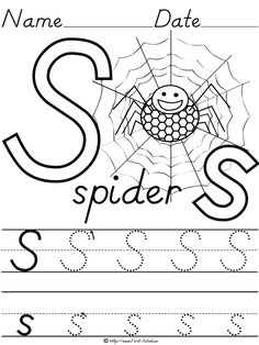 the letter s is for spider worksheet with numbers and letters to write it