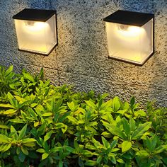 two square lights are on the side of a wall next to some bushes and shrubbery