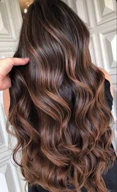 Balayage Brownhair, Subtle Blonde, The Best Hair Color, Brown Hair Inspiration, Best Hair Color, Highlights For Brunettes, Color Balayage, Summer Hair Highlights