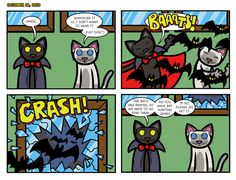 comic strip with two black cats and one white cat