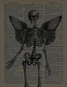 a skeleton with wings sitting on top of an old dictionary book page in black and white