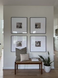 three framed pictures hang on the wall above a bench in front of a potted plant