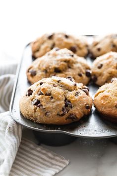 freshly baked chocolate chip muffins in a baking pan ready to be eaten on the table