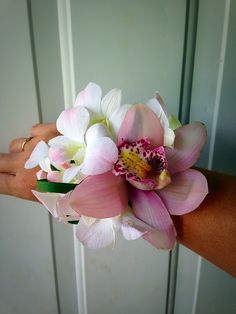 a woman's hand holding a pink and white wrist corsage with orchids