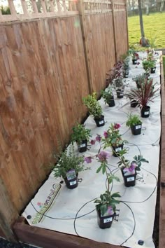 many potted plants are lined up on a table in front of a wooden fence