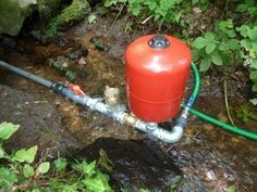 a red fire extinguisher sitting in the middle of a stream surrounded by greenery