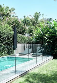 an empty swimming pool surrounded by greenery and palm trees in the back yard, with two lounge chairs on the lawn