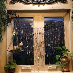 a window with many necklaces hanging from it's sides and plants on the windowsill