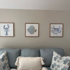 a living room with blue couches and three pictures on the wall above each couch