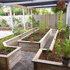 an outdoor garden area with raised wooden planters