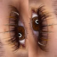 Gold Lash Extensions, Wispy Lashes With Color, Wispy Lash Extensions With Color, New Years Lashes, Lash Extensions Styles Color, Whiskey Lashes, Fall Lash Extensions, Black And Brown Lash Extensions, Brown Lashes Extensions