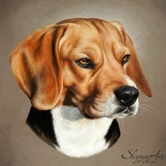 a painting of a brown and white dog's face, with the eyes closed