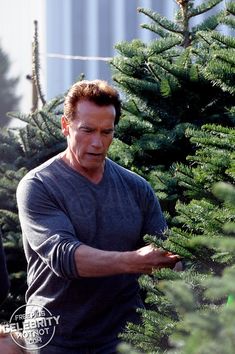 a man is picking out a christmas tree