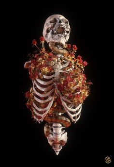 an image of a skeleton with flowers in it's chest and arms hanging from the ceiling