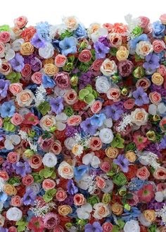 a large group of colorful flowers on display