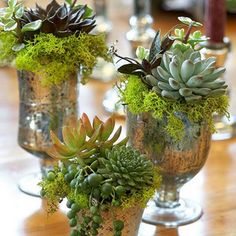 two vases filled with plants on top of a wooden table next to wine glasses