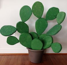 a potted plant with green leaves on the floor in front of a white wall