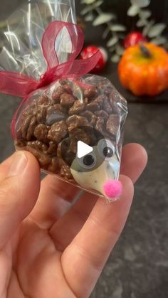 a hand holding a bag filled with nuts and a raccoon shaped animal in it's mouth