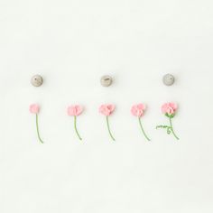 pink flowers are lined up in the shape of letters