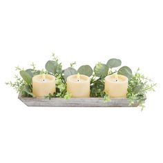 three candles are sitting on a tray with greenery