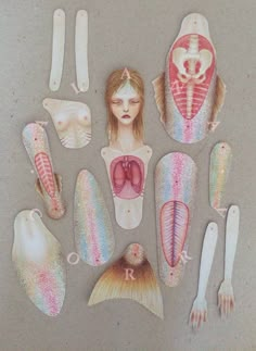 an image of different types of body parts on a table with scissors and spoons