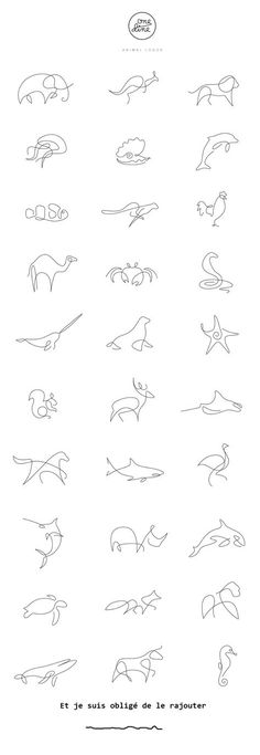 the different types of animals that can be seen in this drawing lesson, which shows how to