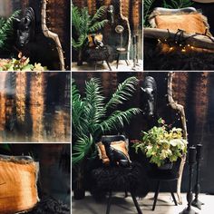 several photographs of an old chair with plants in it