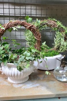 two white vases filled with plants on top of a counter