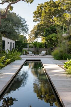 an outdoor swimming pool surrounded by trees and plants