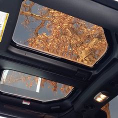 the sunroof of a car with trees reflected in it