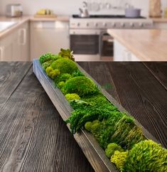 a wooden table topped with lots of green plants next to a stove top covered in moss