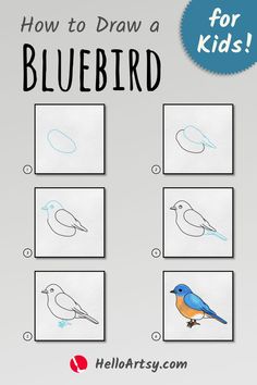 Step by step images demonstrating how to draw a bluebird drawing - A Drawing Tutorial for Kids! Bluebird Drawing, Bird Drawing For Kids, Simple Bird Drawing, Full Drawing, Drawing Lesson, Fashion Illustrations Techniques, Step Kids, Step Drawing