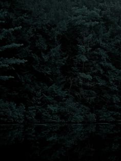 the dark forest is full of trees and water at night time, as seen from above