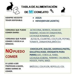 an image of a list of animals that are not in english or spanish, including rabbits