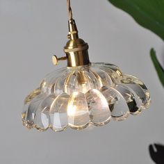 a glass light fixture hanging from a ceiling with a green plant in the back ground