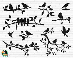 birds sitting on branches with leaves silhouettes against a white brick wall, set of four