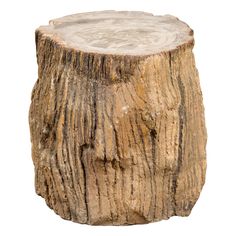 a close up of a tree stump on a white background