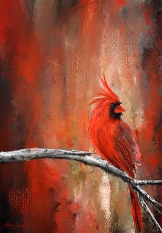 a painting of a cardinal sitting on a branch