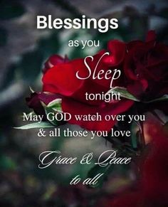 a red rose sitting on top of a table next to a quote that reads, blessings as you sleep tonight may god watch over you & all those you love