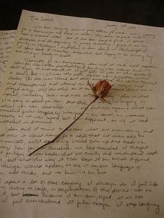 a piece of paper with writing on it and a rose sitting on top of it