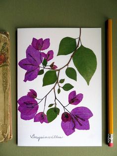 purple flowers and green leaves on a white card next to a pencil with the word congratulations written in it