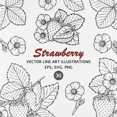 strawberry line art illustrations with flowers and leaves