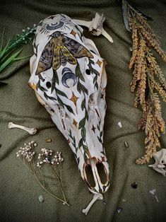 an animal skull is laying on the ground next to dead flowers and other items that have been placed around it