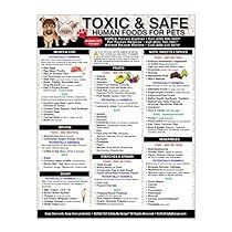 a poster with the words, toxic and safe human foods for pets on it