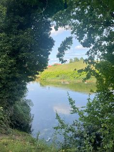 a river surrounded by trees and grass